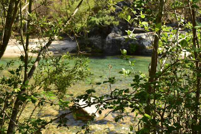 La vallée de la Solenzara